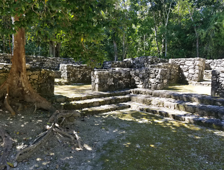 Calakmul Campeche La Guía Definitiva 2024 Consejos México 7009