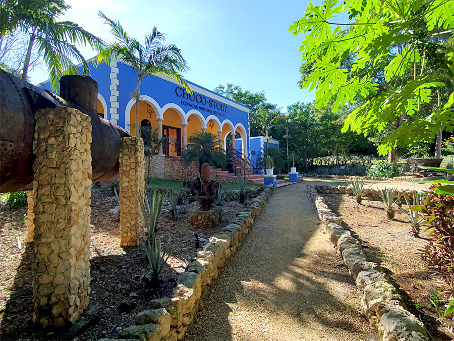 museum chocolate uxmal