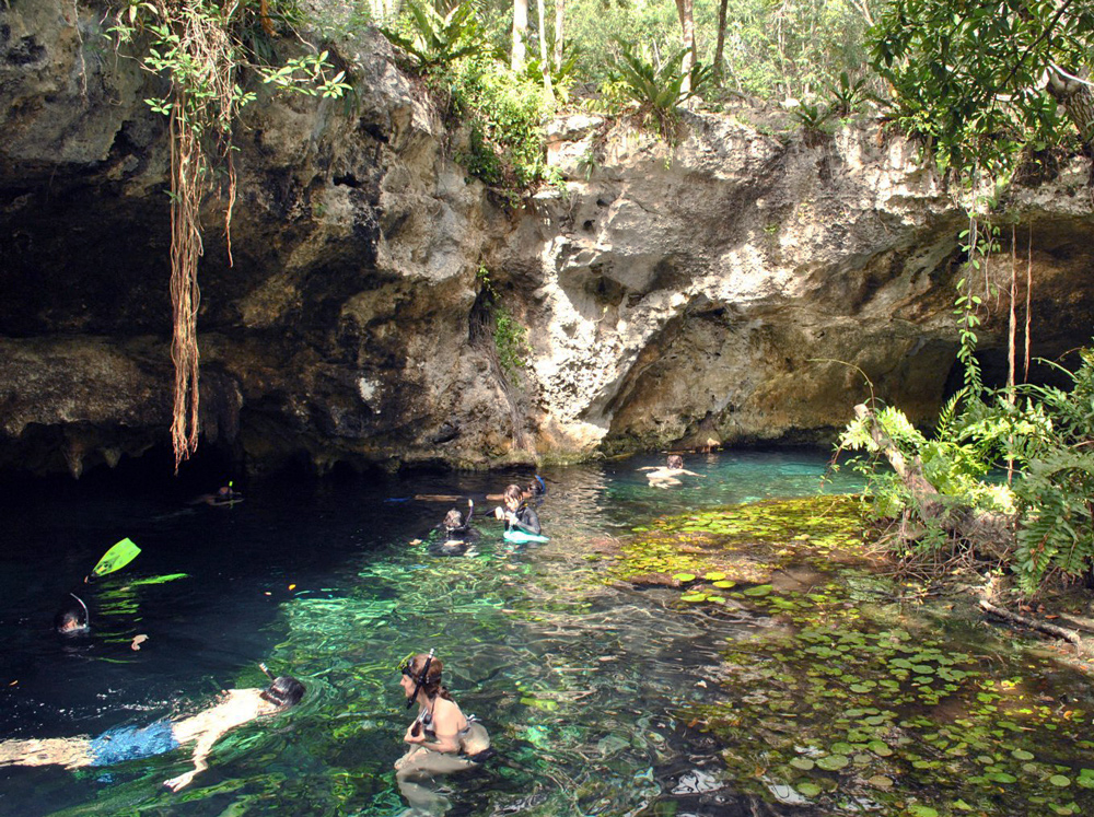 15 Cenotes más bonitos de Tulum + Consejos | Yucatán, México