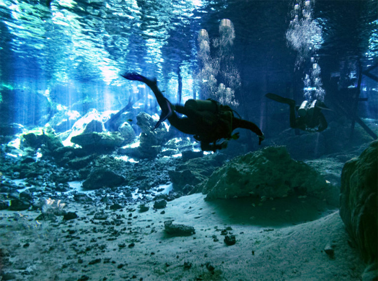 Visitar el cenote Dos Ojos en Tulum | Guía 2024 | Viaje a México