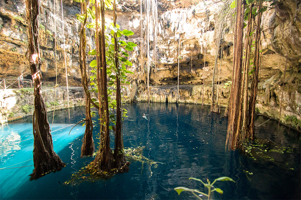 20 Cenotes más bonitos de Yucatán | + Consejos | Viaje a México