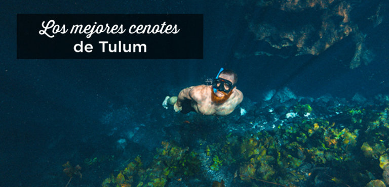 15 Cenotes Más Bonitos De Tulum + Consejos | Yucatán, México