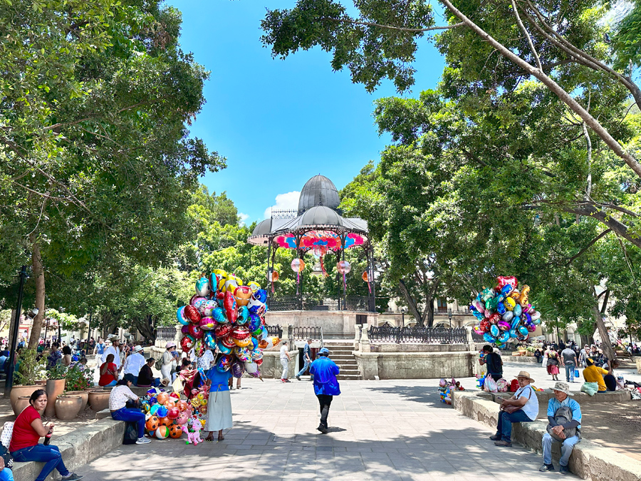 zocalo oaxaca