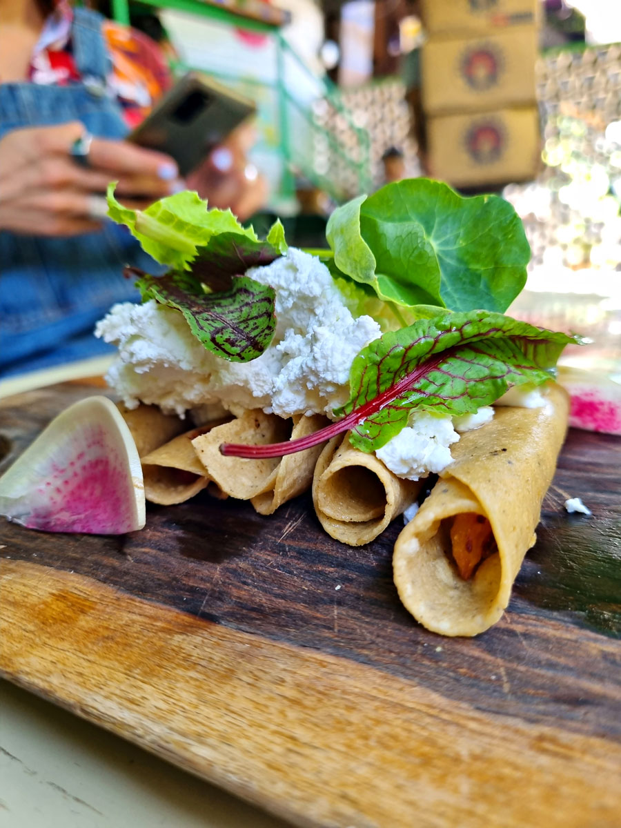 habanero negro guadalajara restaurant