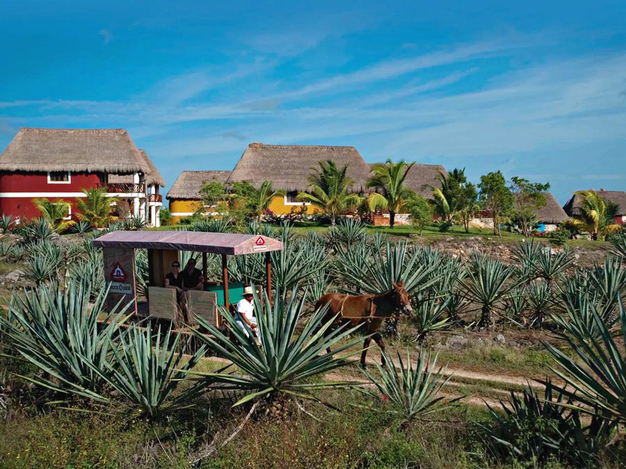 hacienda sotuta de peon yucatan