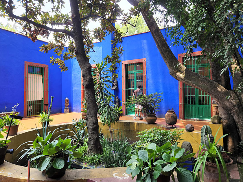 musée frida kahlo jardin