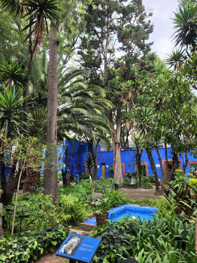 jardin casa azul ville de mexico