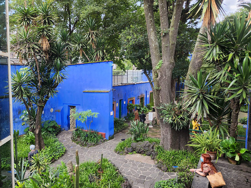 vue jardin jour chambre frida kahlo