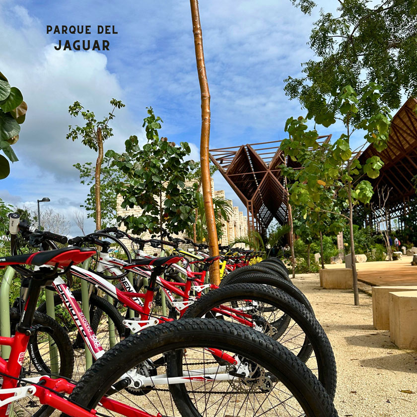 bike rental parque jaguar tulum